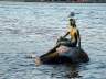 Stanley Park Mermaid, Canada Stock Photos