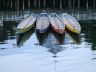 Downtown Vancouver, Canada Stock Photographs