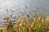 Nature, Canada Stock Photographs